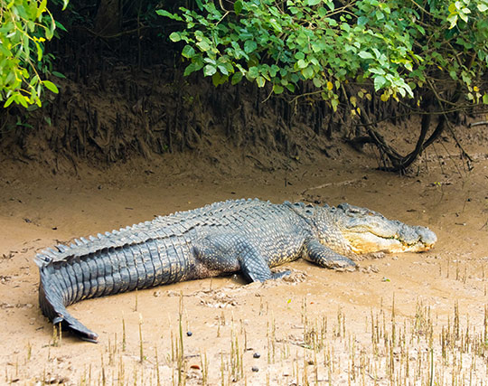 Instagram post image