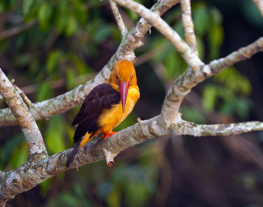 Instagram post image