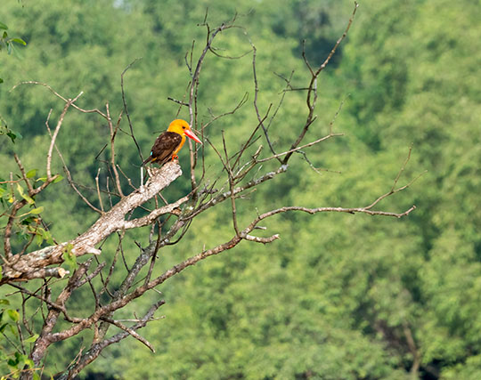 Instagram post image