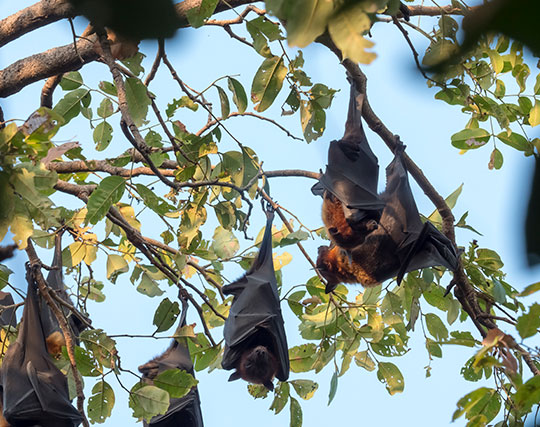 Instagram post image