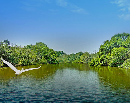 Instagram post image