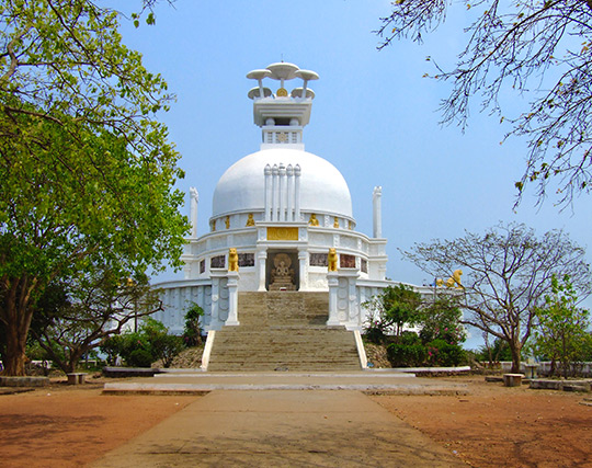 Instagram post image