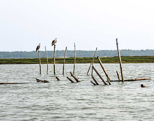 Instagram post image