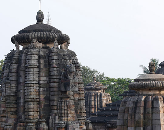 Instagram post image