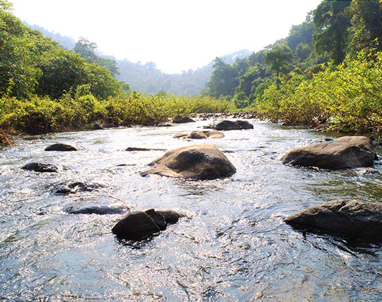 Instagram post image