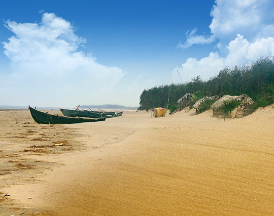 Instagram post image