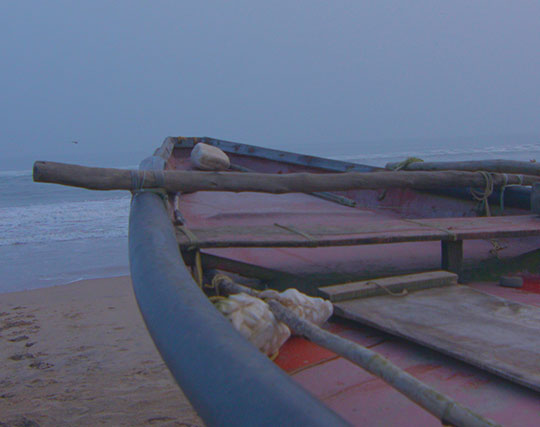 Instagram post image