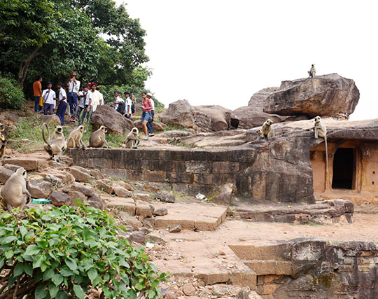 Instagram post image