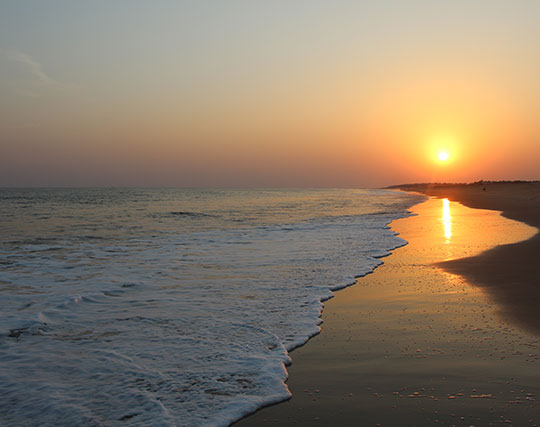 Instagram post image