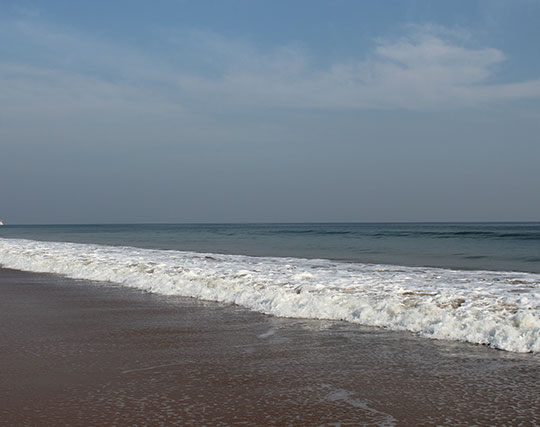 Instagram post image