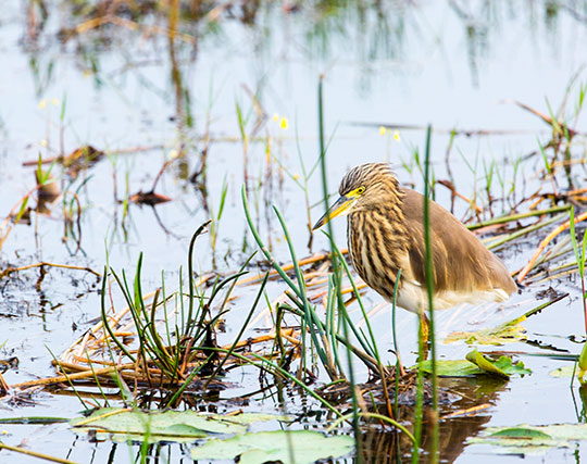 Instagram post image