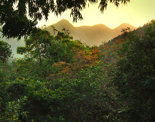 Instagram post image