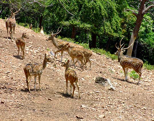 Instagram post image