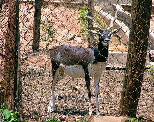 Instagram post image