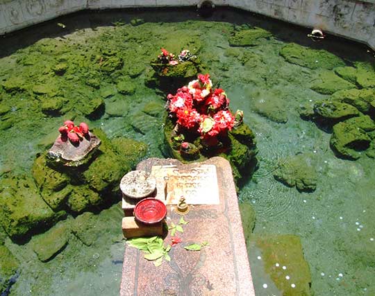 Instagram post image