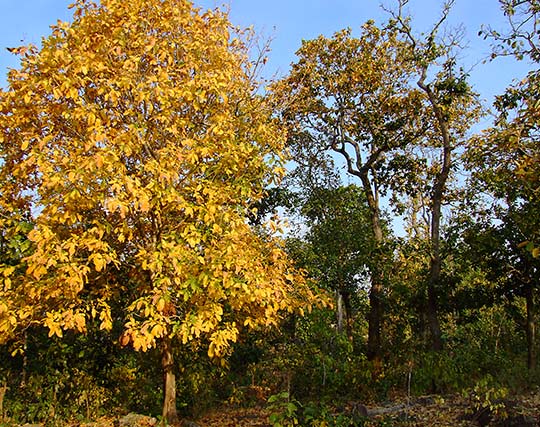 Instagram post image