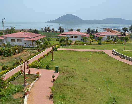 Instagram post image