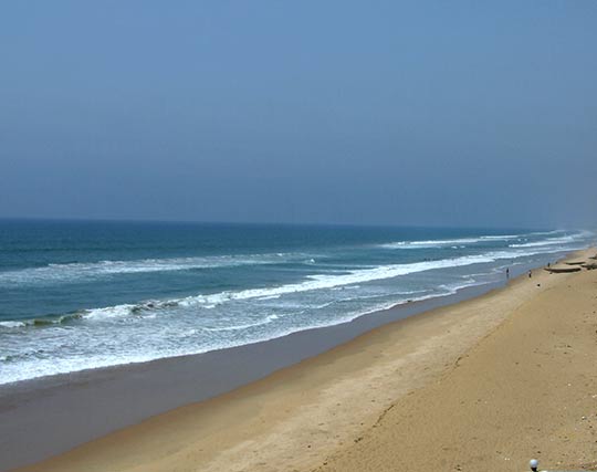 Instagram post image