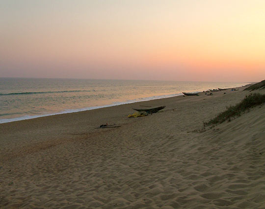 Instagram post image