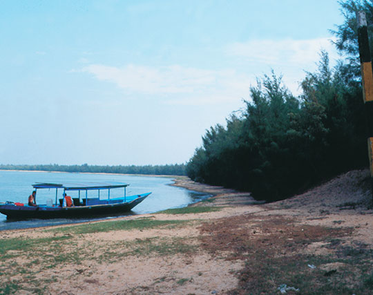 Instagram post image