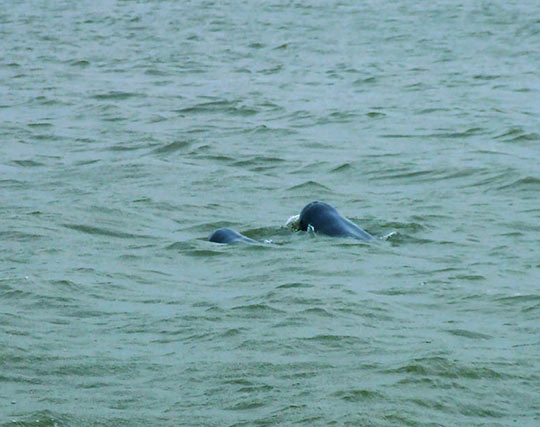 Instagram post image