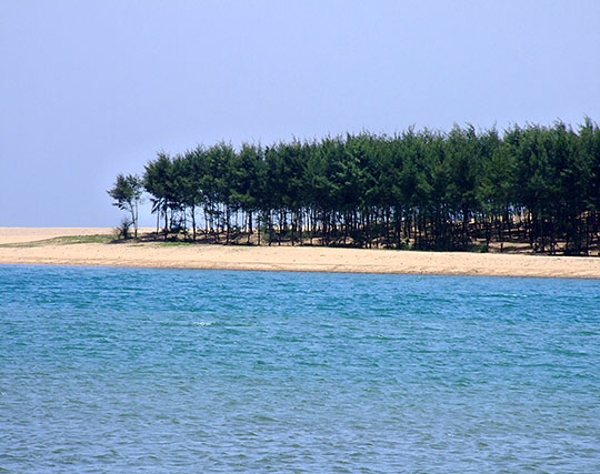 Instagram post image