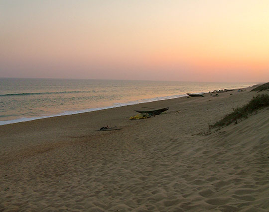 Instagram post image