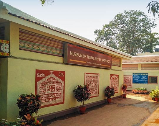 Instagram post image