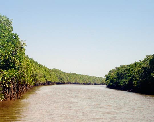 Instagram post image