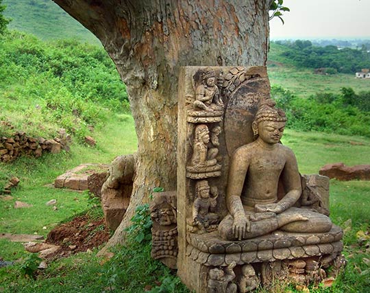 Instagram post image