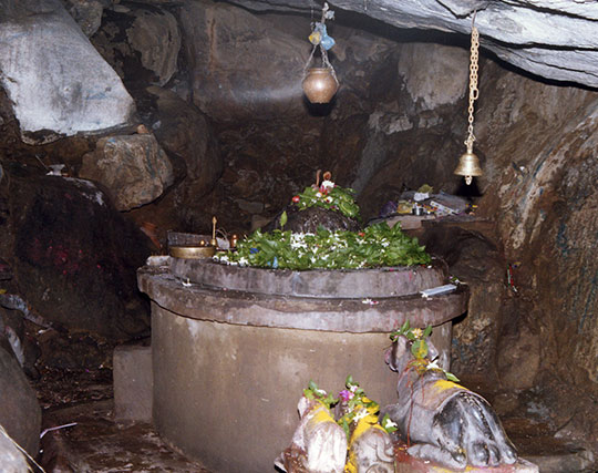 Instagram post image