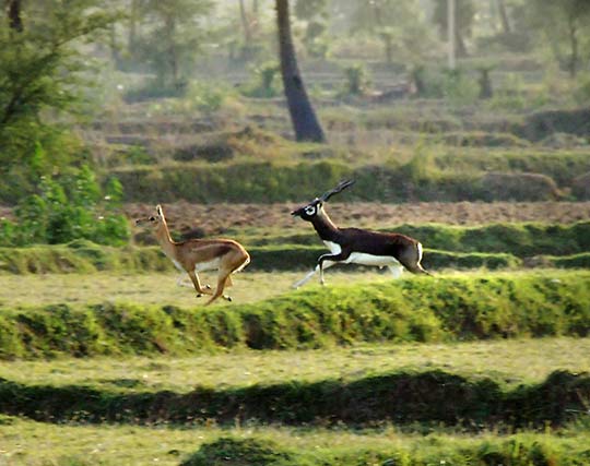 Instagram post image