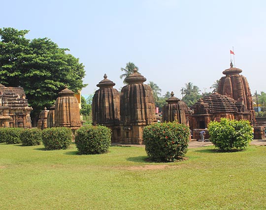 Instagram post image