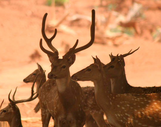 Instagram post image