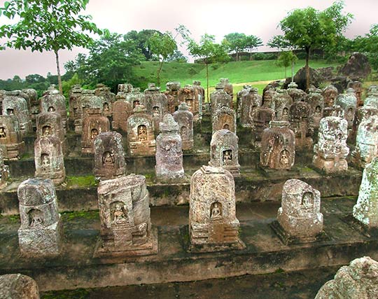 Instagram post image