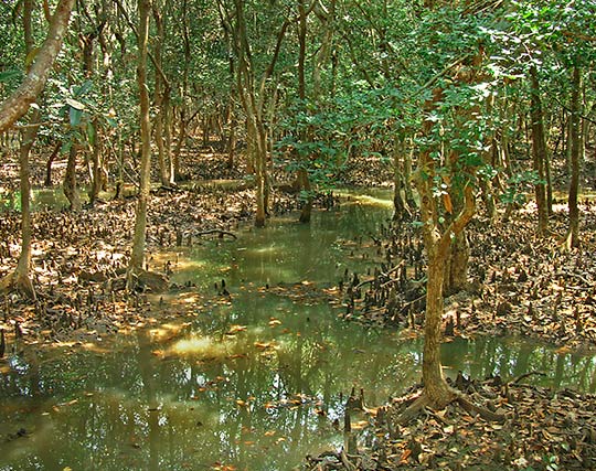 Instagram post image