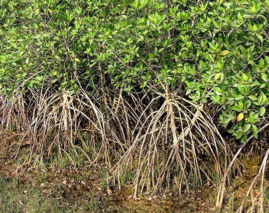 Instagram post image