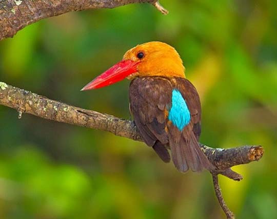 Instagram post image