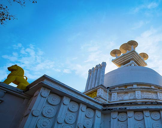 Instagram post image