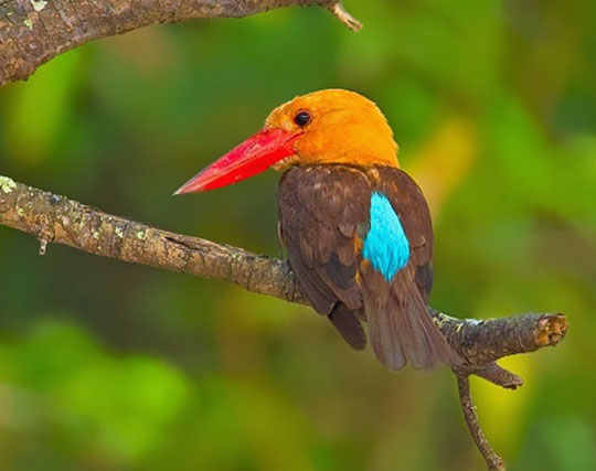 Instagram post image