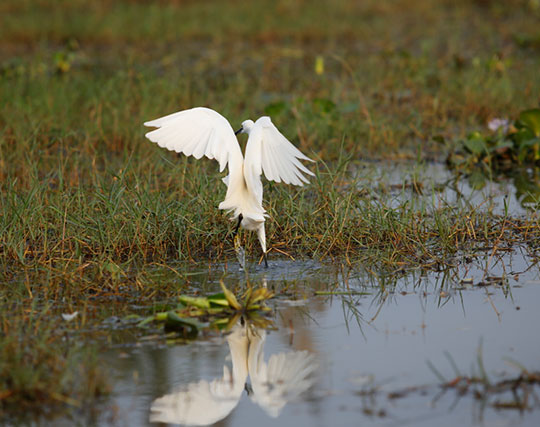 Instagram post image