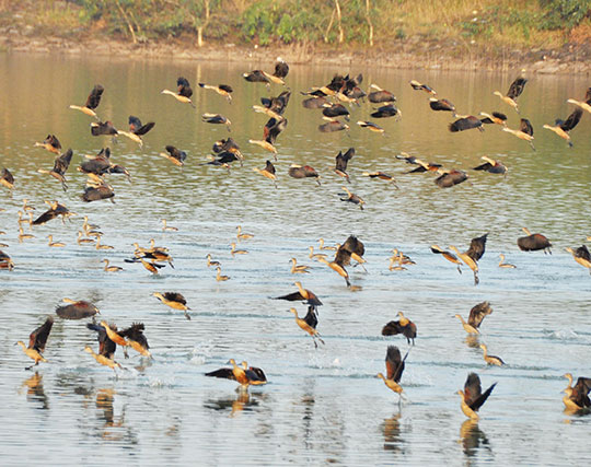 Instagram post image