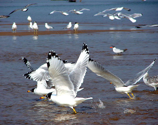 Instagram post image