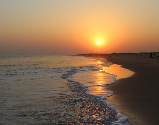 Instagram post image