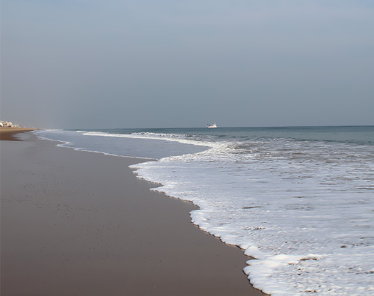 Instagram post image