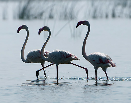 Instagram post image