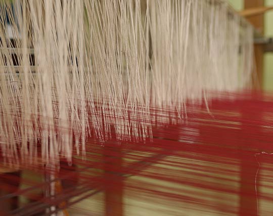 Instagram post image