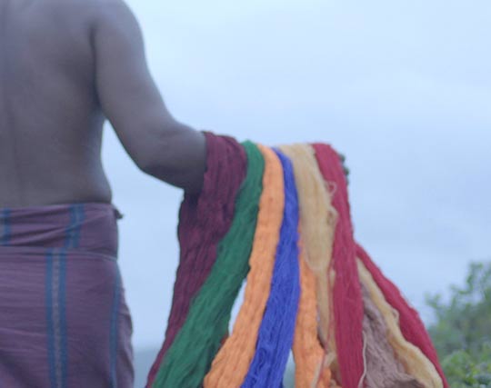 Instagram post image