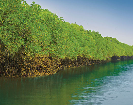 Instagram post image