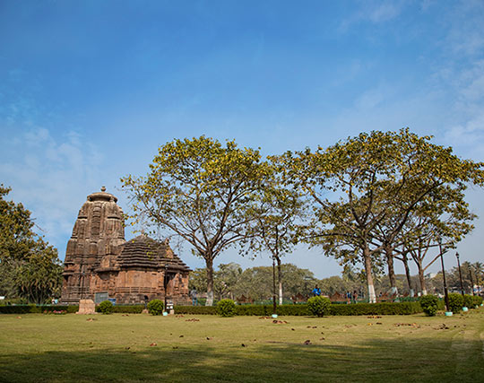 Instagram post image